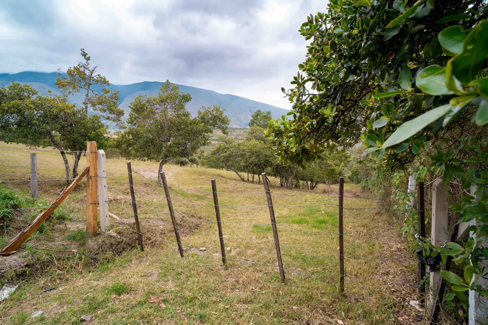 Lindero del lote 5658 con la montaña al fondo